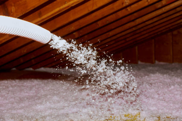 Types of Insulation We Offer in Elmwood Place, OH