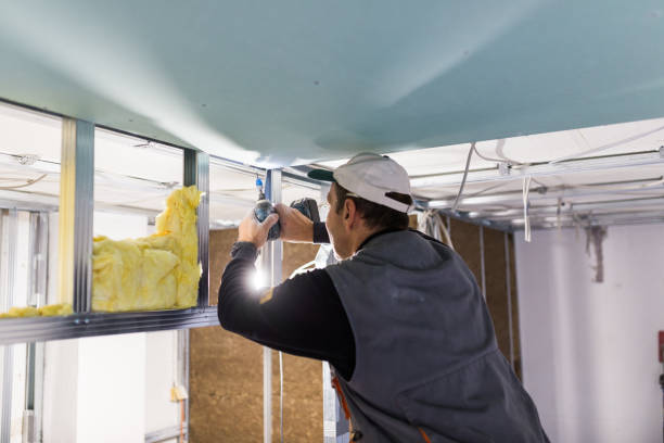 Best Eco-Friendly Insulation in Elmwood Place, OH