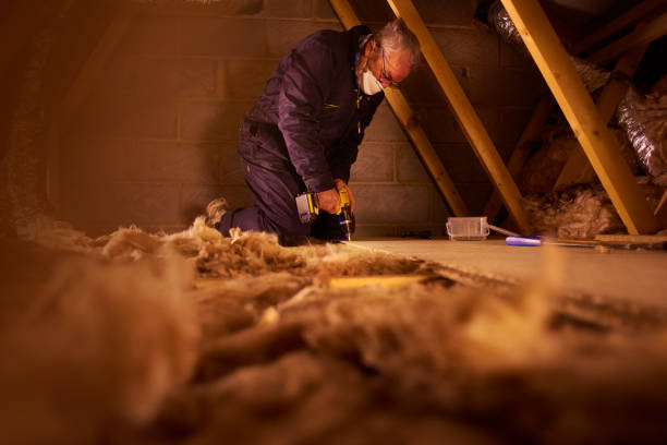 Best Energy Efficiency Insulation in Elmwood Place, OH